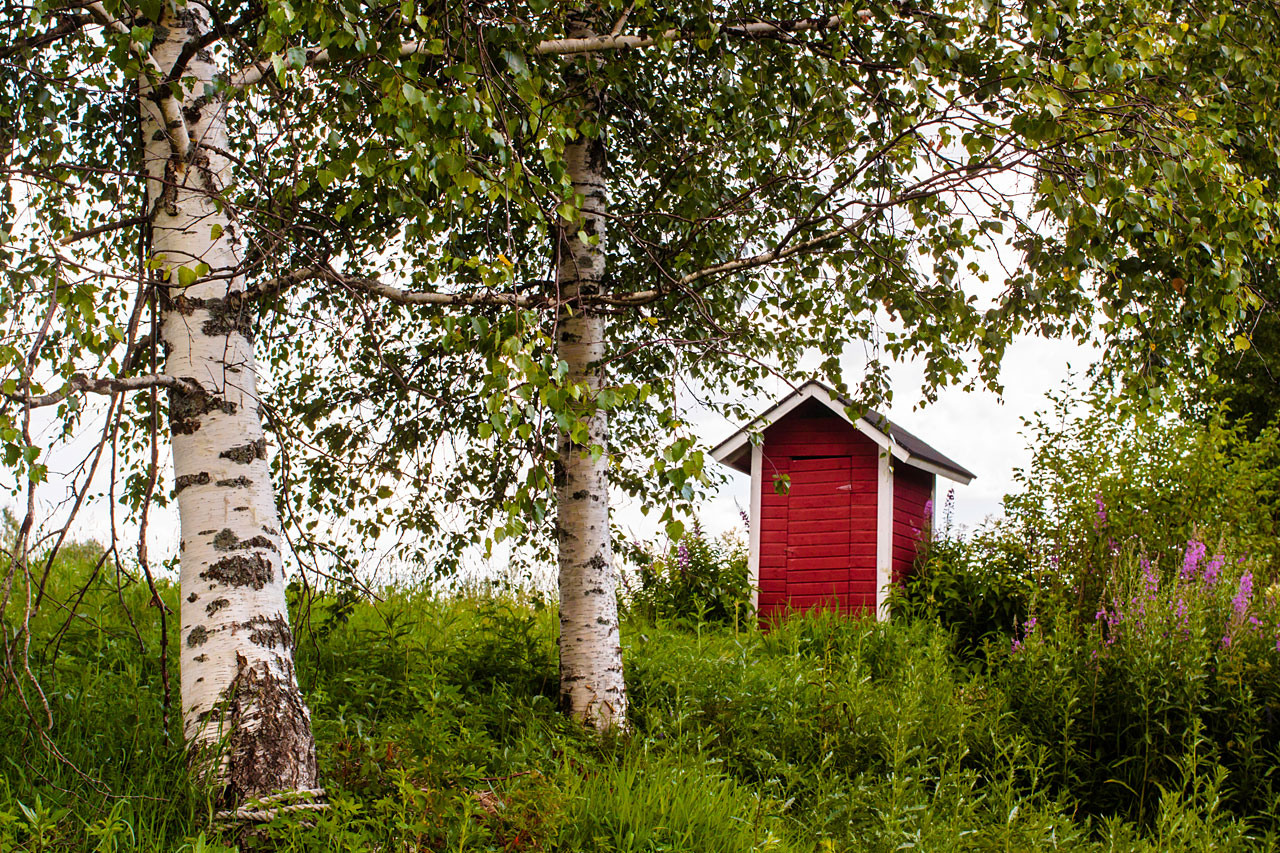 Punainen ulkokäymälä koivikossa