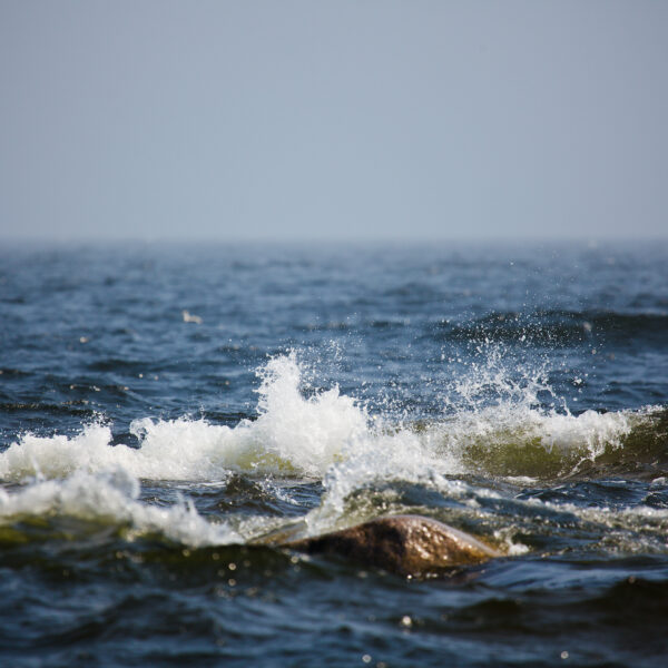 På bilden slår havsvågor mot klipporna.