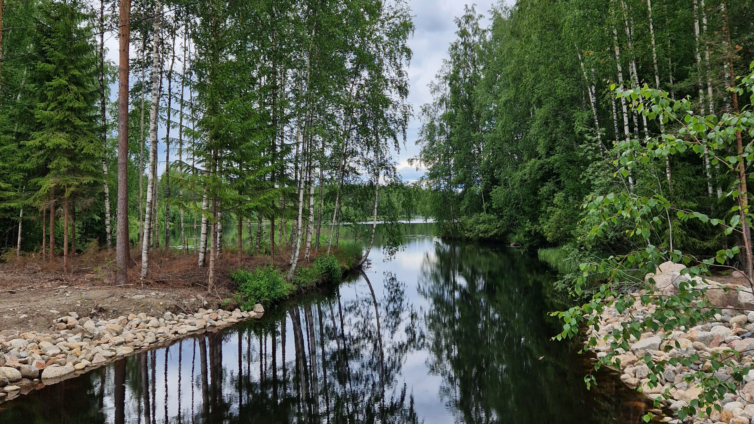 Vattendrag omgiven av frodig skog under sommaren. Illustration.