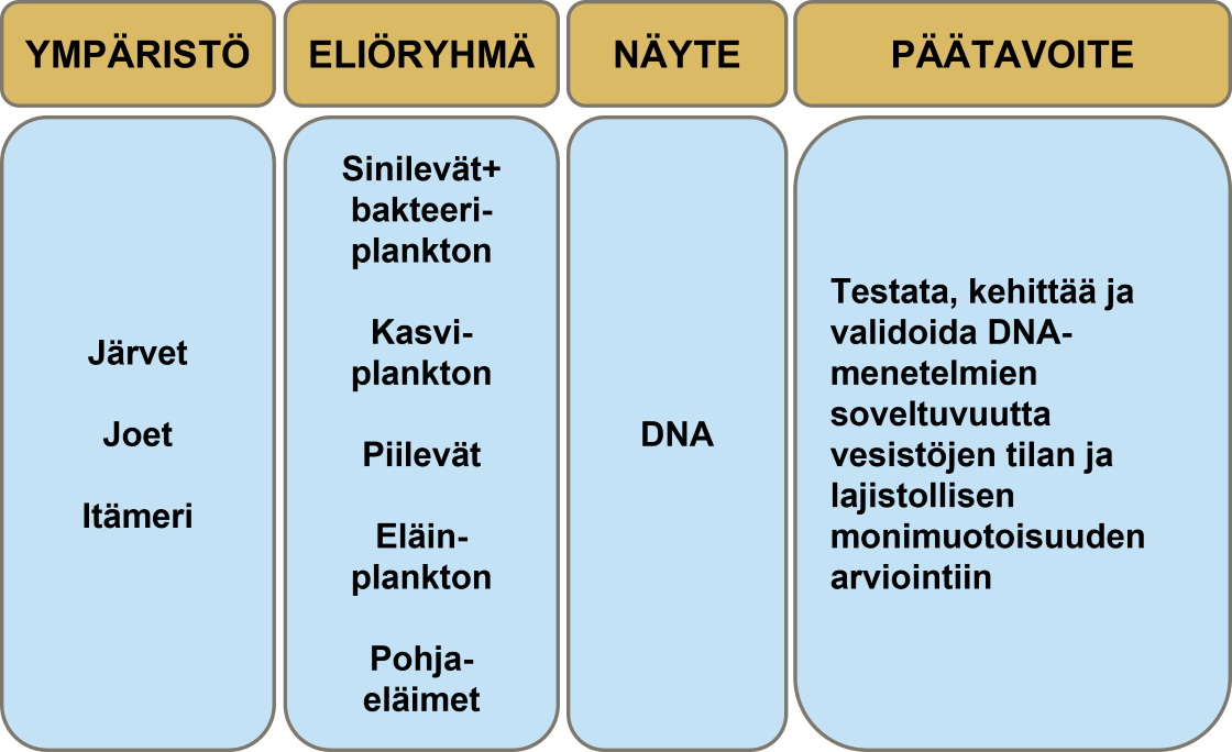 Kaaviokuva