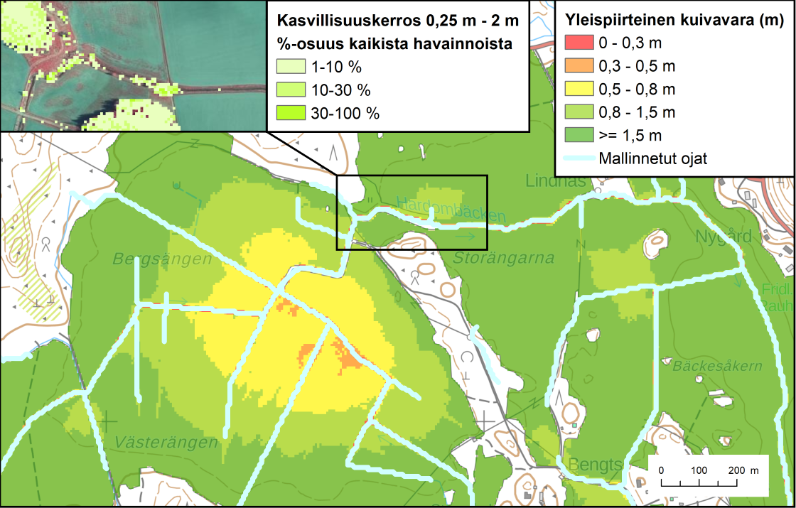 Teemakartta kuivavarasta.