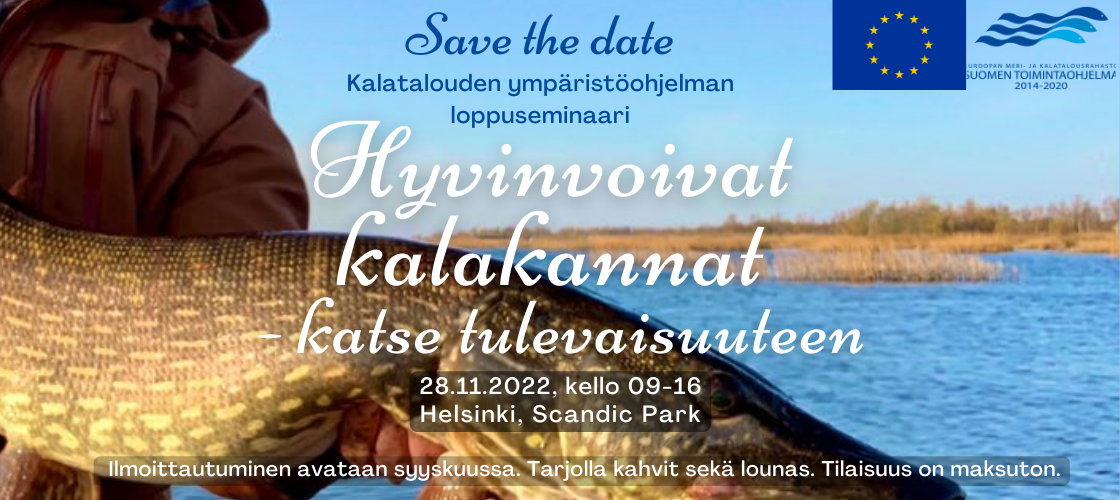 iso hauki ja tieodt tapahtumasta