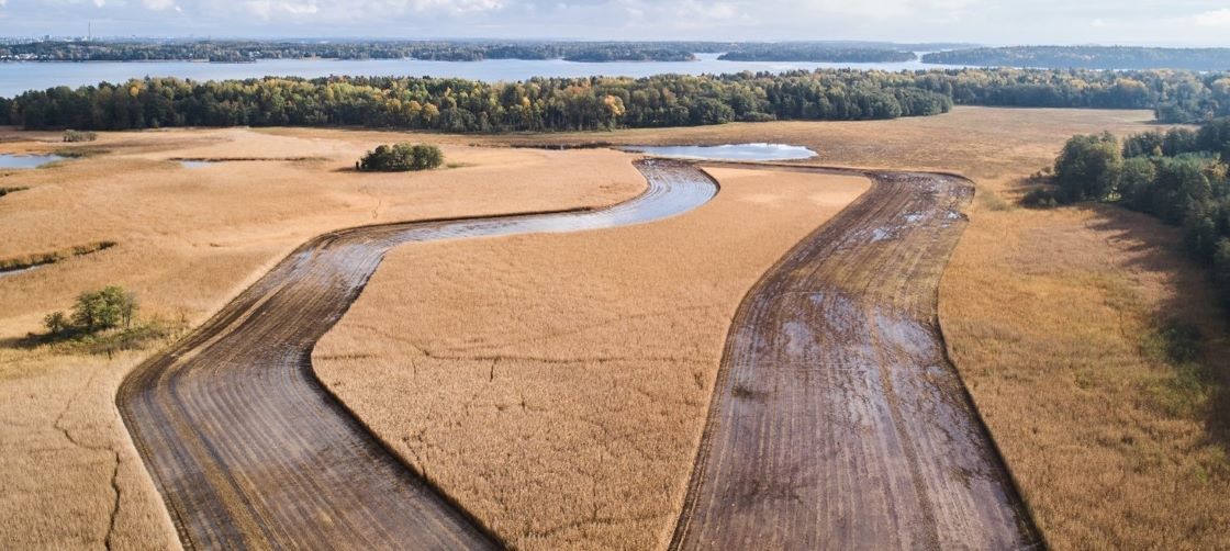 Laaja rantaruovikko, osittain niitetty, ilmakuva