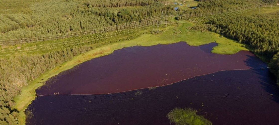 Ilmakuva järvestä