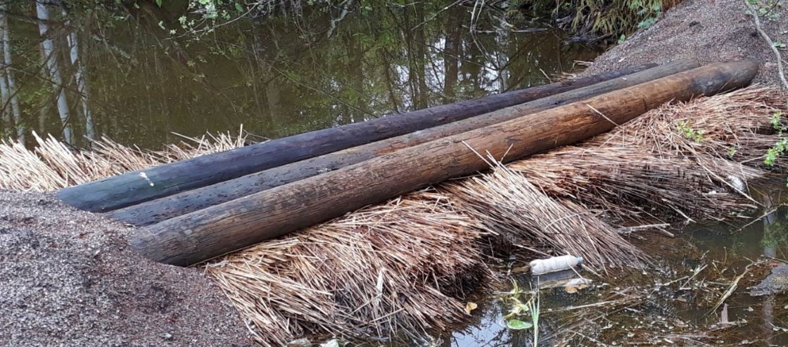 Puunrunkoja ja ruokonippuja ojan yllä