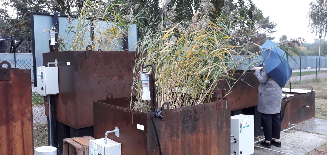 Ruosteisisa altaita, joissa kasvaa järviruokoa, mittalaite