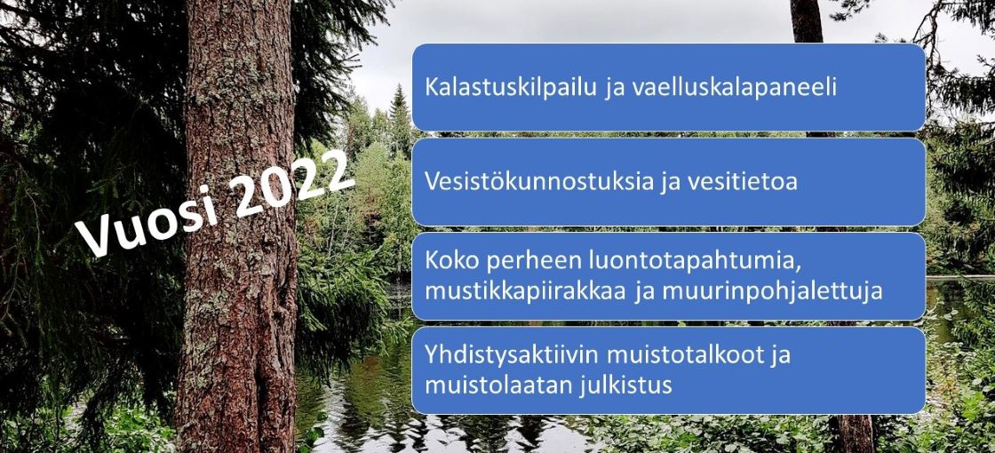 Havupuita, vettä