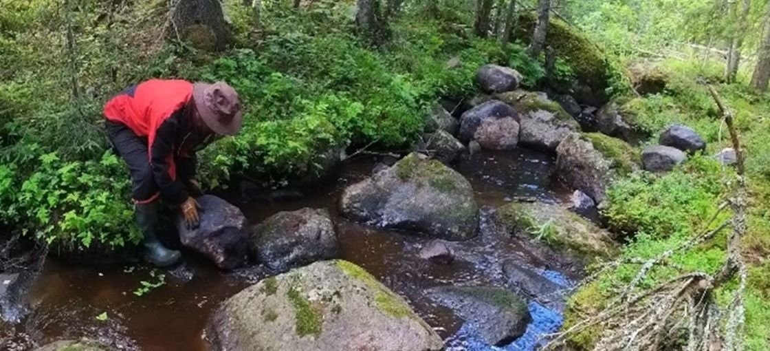 Puro metsässä, henkilö punaisessa takissa