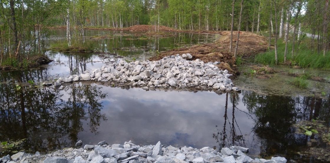 Kivikko, kosteikko ja metsää taustalla