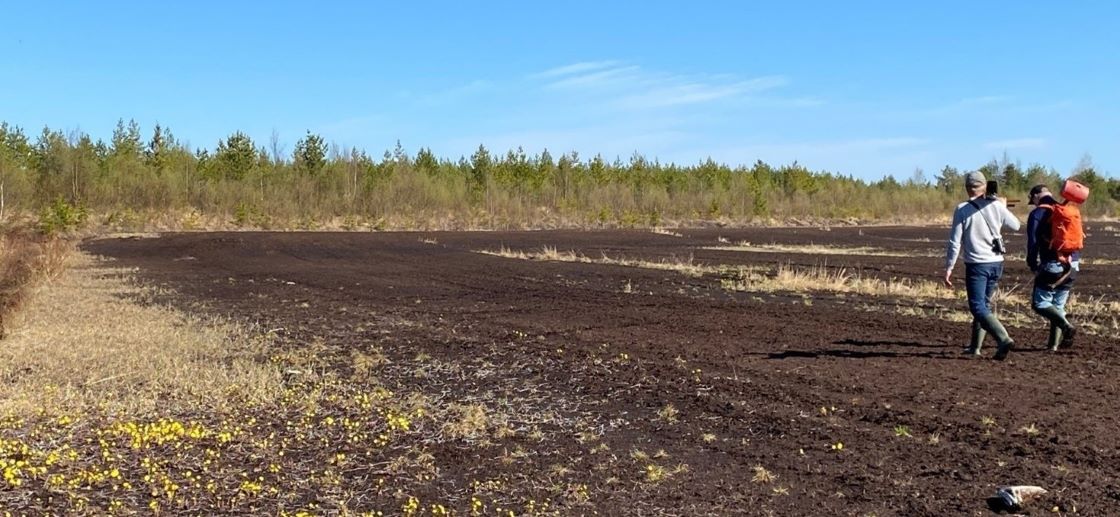 Turvetuotantoalue, paljasta turvetta, sinistä taivatsta, kaksi ihmistä kävelee selin kameraan