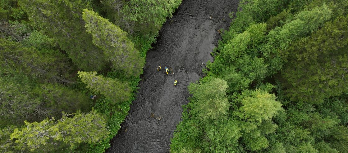 JOkiuoma ylhäältä päin, metsää, kaksi ihmistä joessa