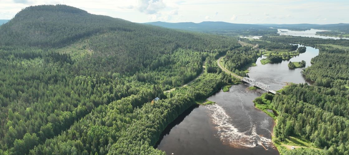 Jokimaisema dronella kuvattuna, vaara, havumetsää