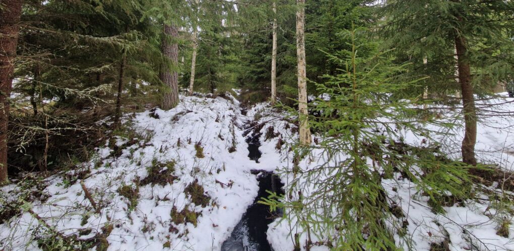 oja metsässä, lunta