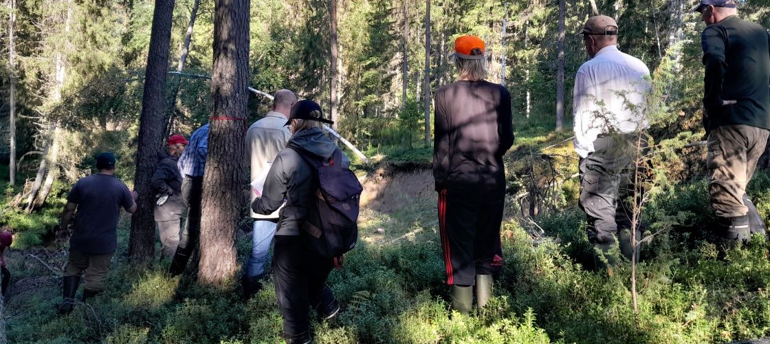 Ihmisiä metsässä, hiekkatörmä