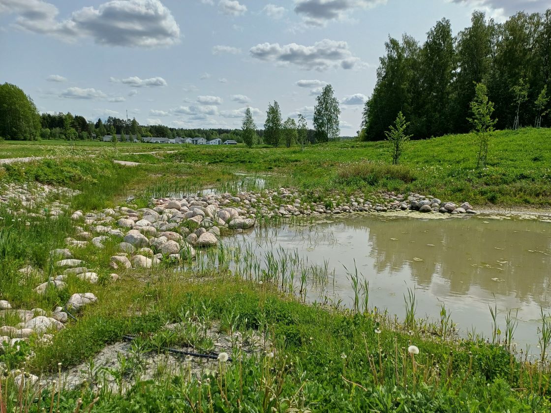 Sorvasen kosteikko, jonka rannalla isoja kiviä ja kasvillisuutta.