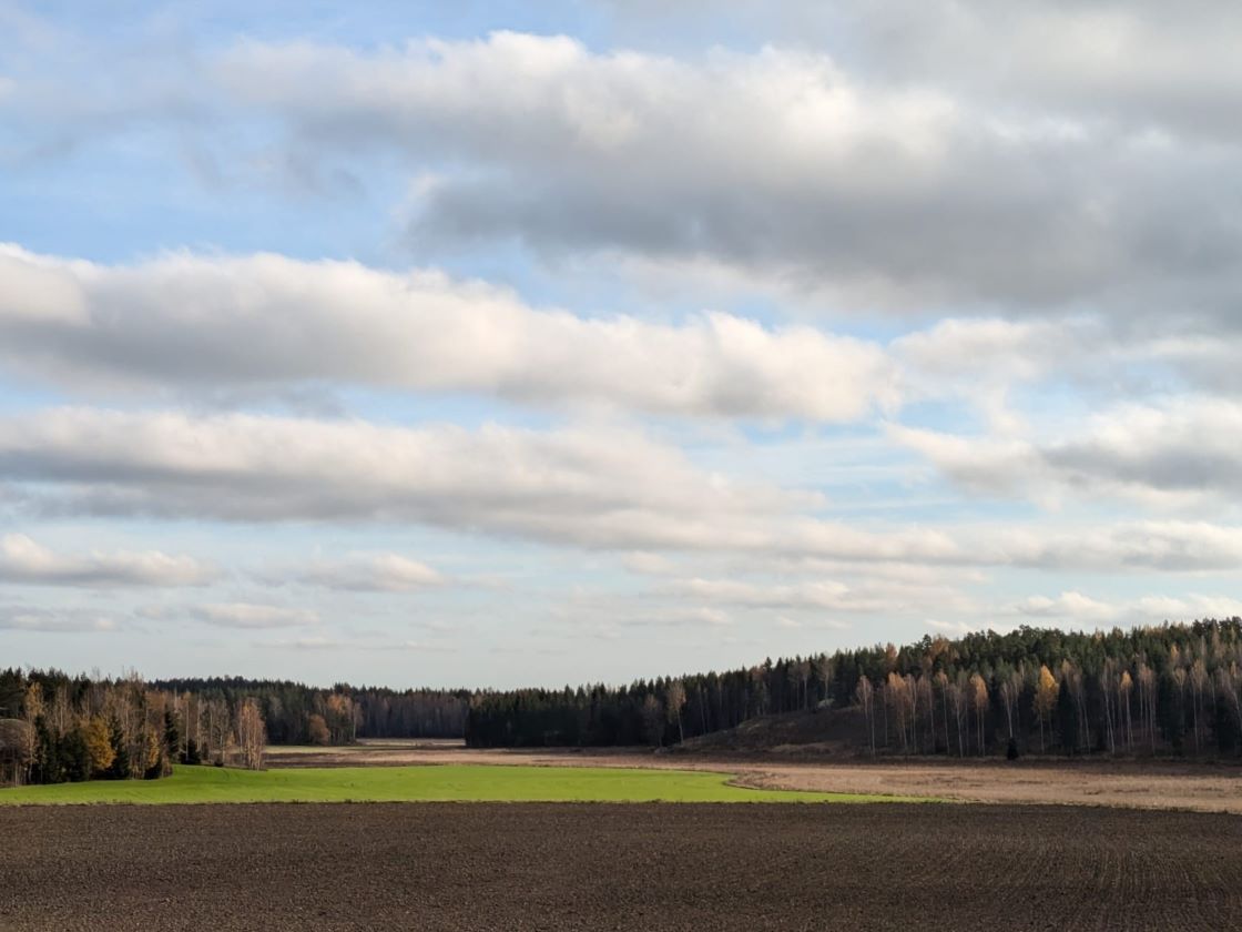 Myöhäissyksyistä peltomaisemaa.