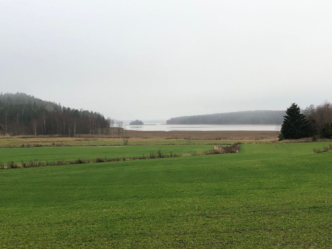 Peltomaisemaa rannikolla.