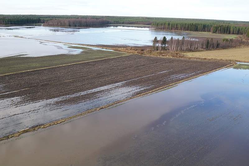 KUVA: Vettä pelloilla Maalahdenjoen Storsjön alueella 3.11.2020. Kuva: Etelä-Pohjanmaan ELY-keskus.