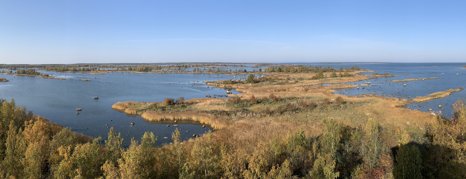 Kuvassa Merenkurkun maankohoamisrannikkoa.