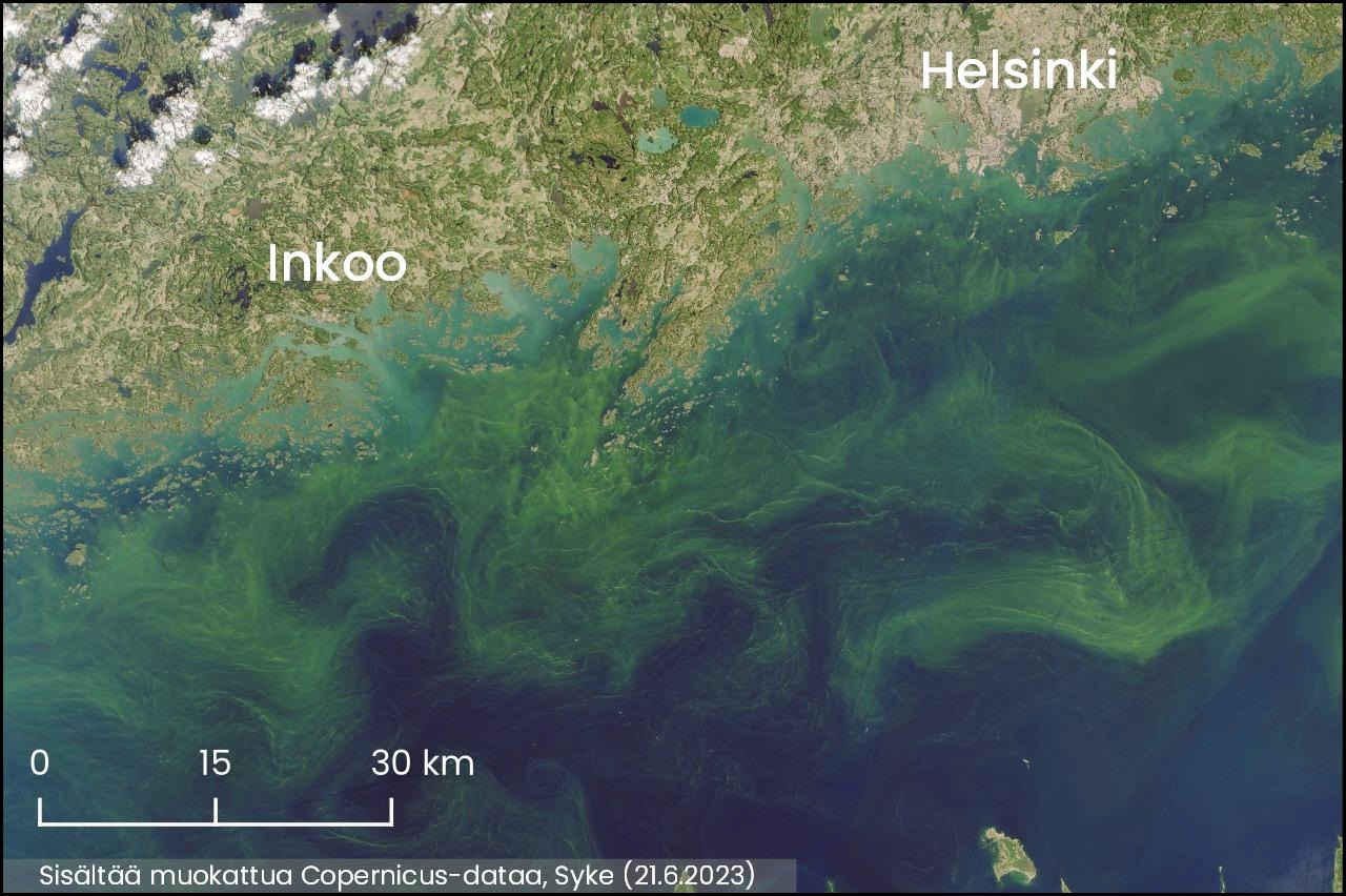 Satelliittikuvassa näkyy vihreitä kiehkuroita rannikkollaHelsingin ja Porkkalanniemen eteläpuolella.