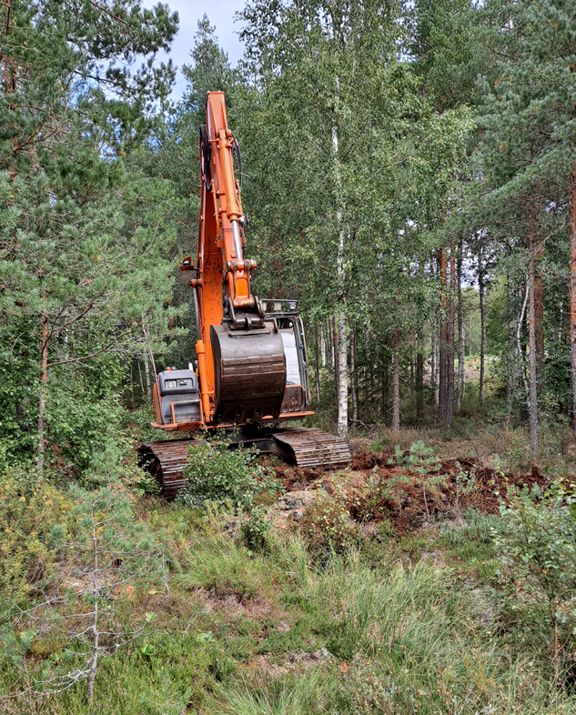 Kaivinkone suolla