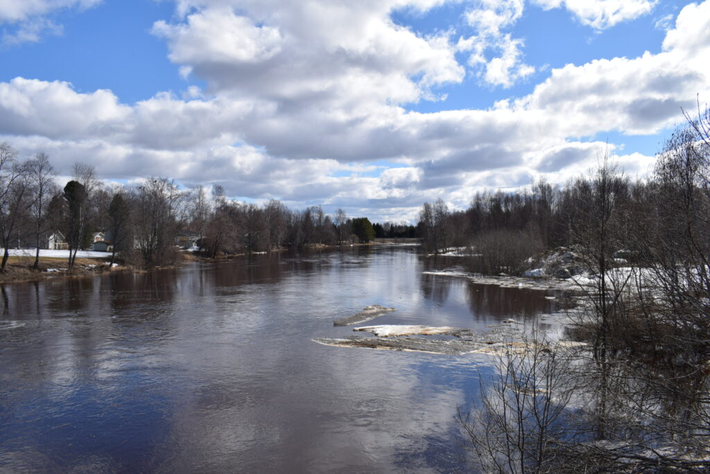 Kuvassa näkyy tulviva Kaakamojoki, jonka pinnasta heijastuu taivas. Oikealla puolella rannalla on jonkin verran jäätä. Rannoilla on lehdettömiä puita ja kauempana rakennuksia. Kuvan yläosassa on sininen taivas ja suuria valkoisia pilviä.