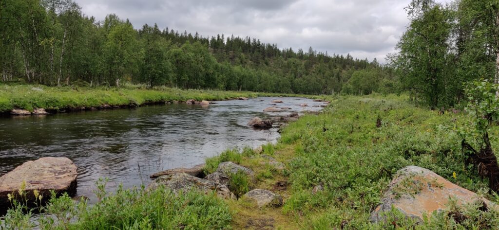 Kuvassa näkyy tummana virtaava Sotajoki, rannoilla näkyy kiviä ja vihreää kasvillisuutta. Taustalla tumma metsäinen rinne. Ylhäällä on pilvinen taivas. 