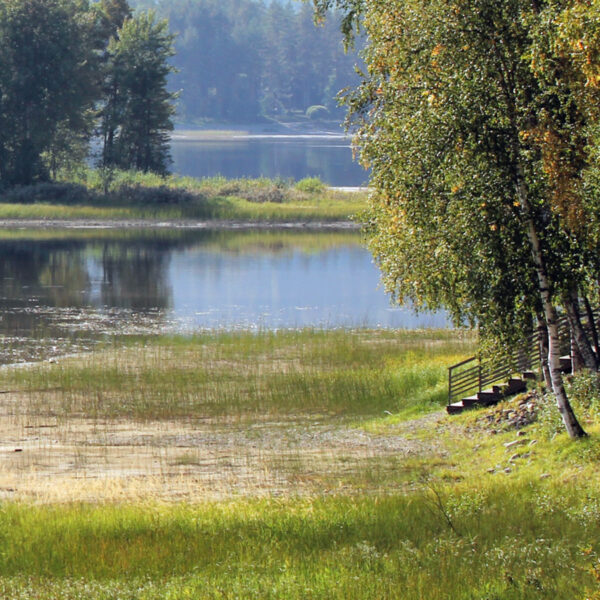 Vesi on karannut uimarannalta.